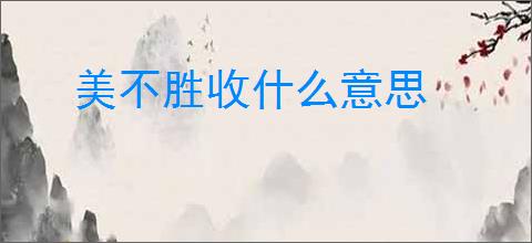 美不胜收什么意思