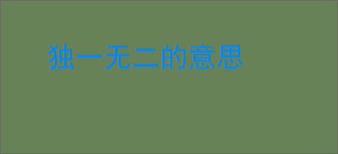 独一无二的意思