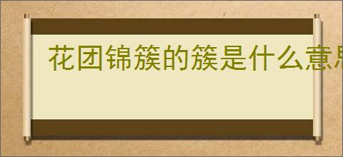 花团锦簇的簇是什么意思